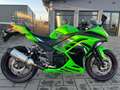 Kawasaki Ninja 300 ABS**LEOVINCE**SPEZIAL EDITION**HU, INSPEKTION NEU Verde - thumbnail 12