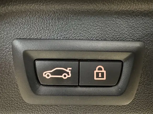 BMW X5 view 7