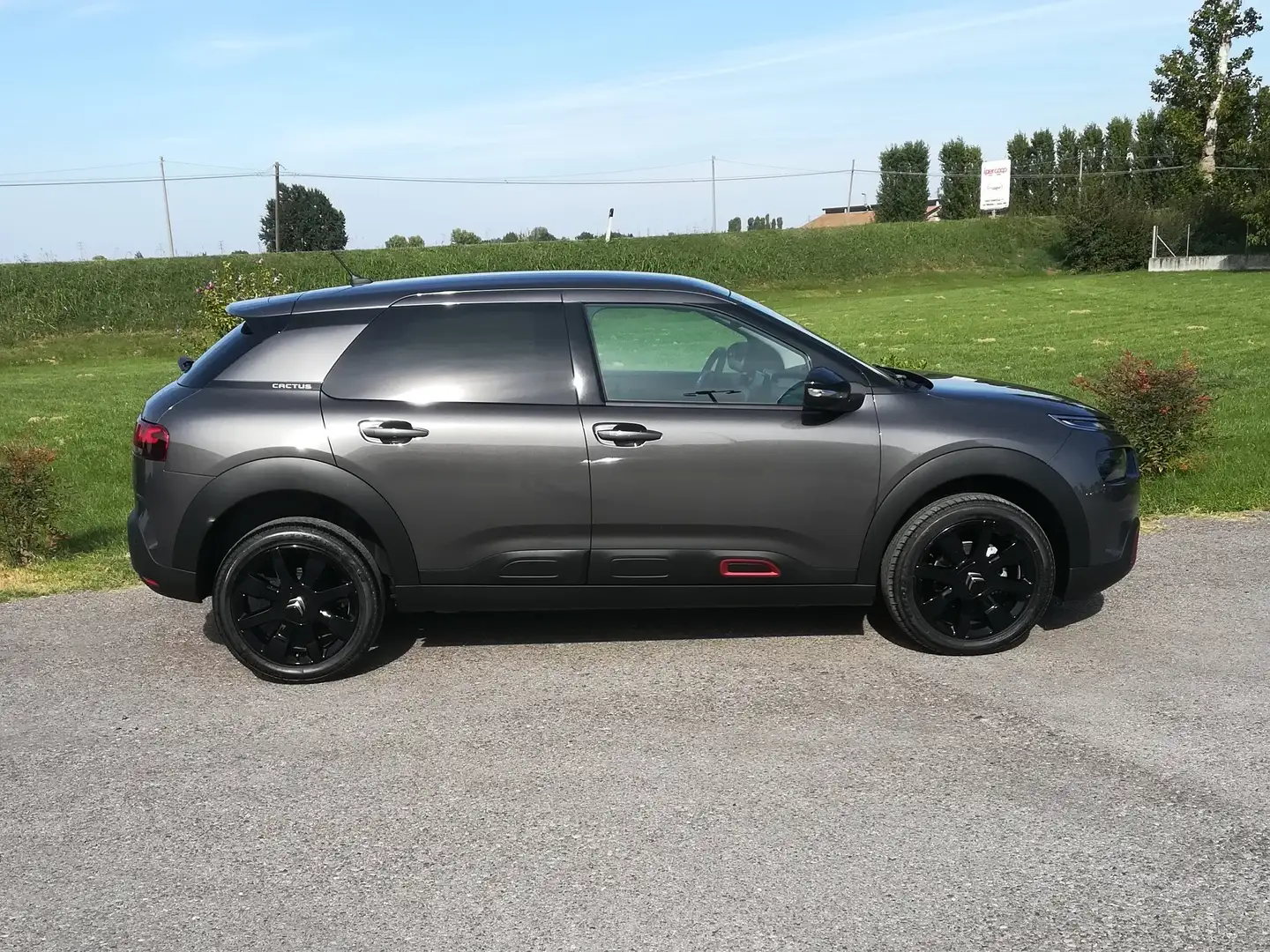 Citroen C4 C4 Cactus 2018 Cactus 1.5 bluehdi Shine s Szary - 2