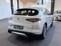 Alfa Romeo Stelvio 2.2 t Super Q4 210cv auto *PREZZO REALE NO VINCOLI Silber - thumbnail 5