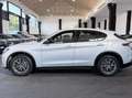 Alfa Romeo Stelvio 2.2 t Super Q4 210cv auto *PREZZO REALE NO VINCOLI Silber - thumbnail 8
