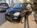 Fiat Panda 1.0 firefly hybrid s&s 70cv 5p.ti Nero - thumbnail 2