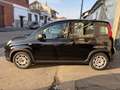 Fiat Panda 1.0 firefly hybrid s&s 70cv 5p.ti Nero - thumbnail 3