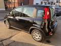 Fiat Panda 1.0 firefly hybrid s&s 70cv 5p.ti Nero - thumbnail 4