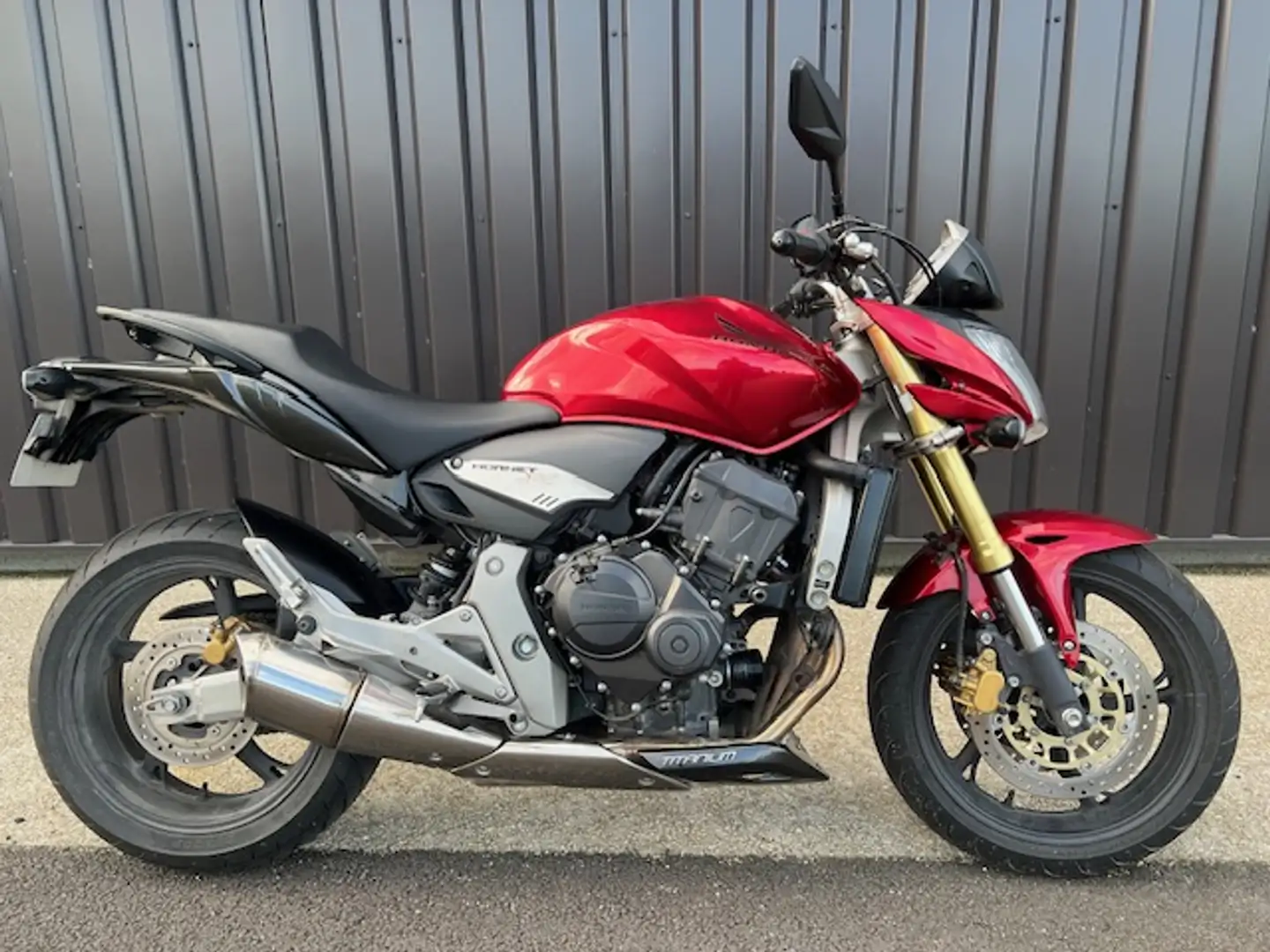 Honda Hornet Rot - 1