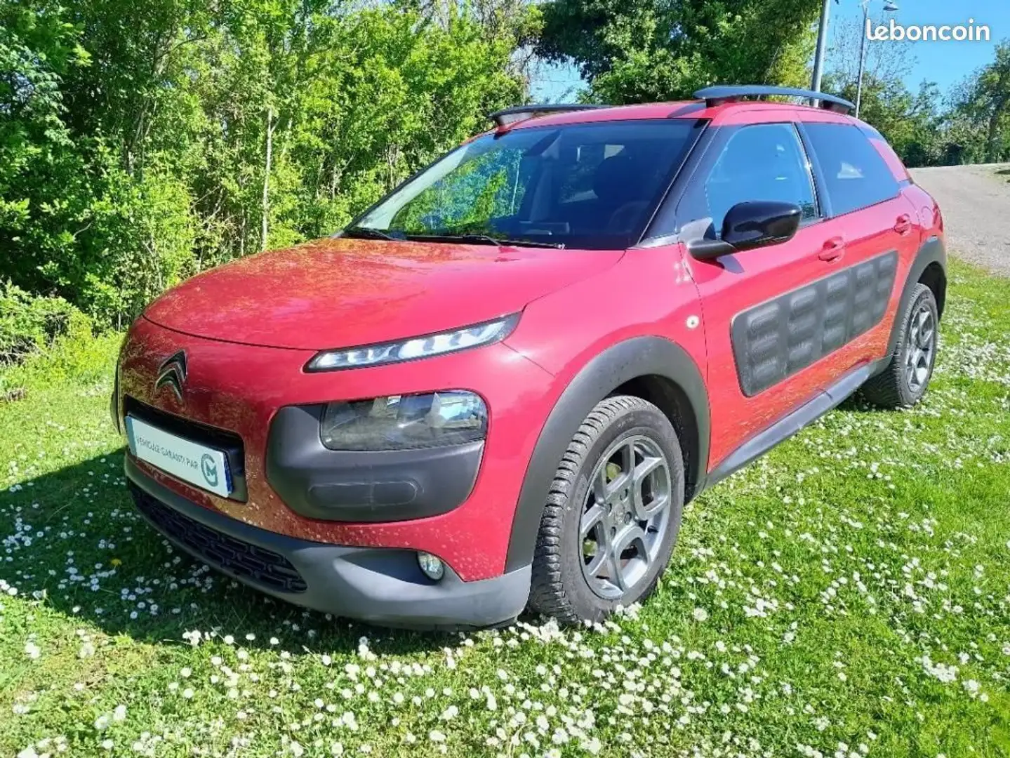 Citroen C4 Cactus Citroën BlueHDi 100 Shine S&S ETG6 Roşu - 1