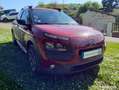 Citroen C4 Cactus Citroën BlueHDi 100 Shine S&S ETG6 Roşu - thumbnail 4