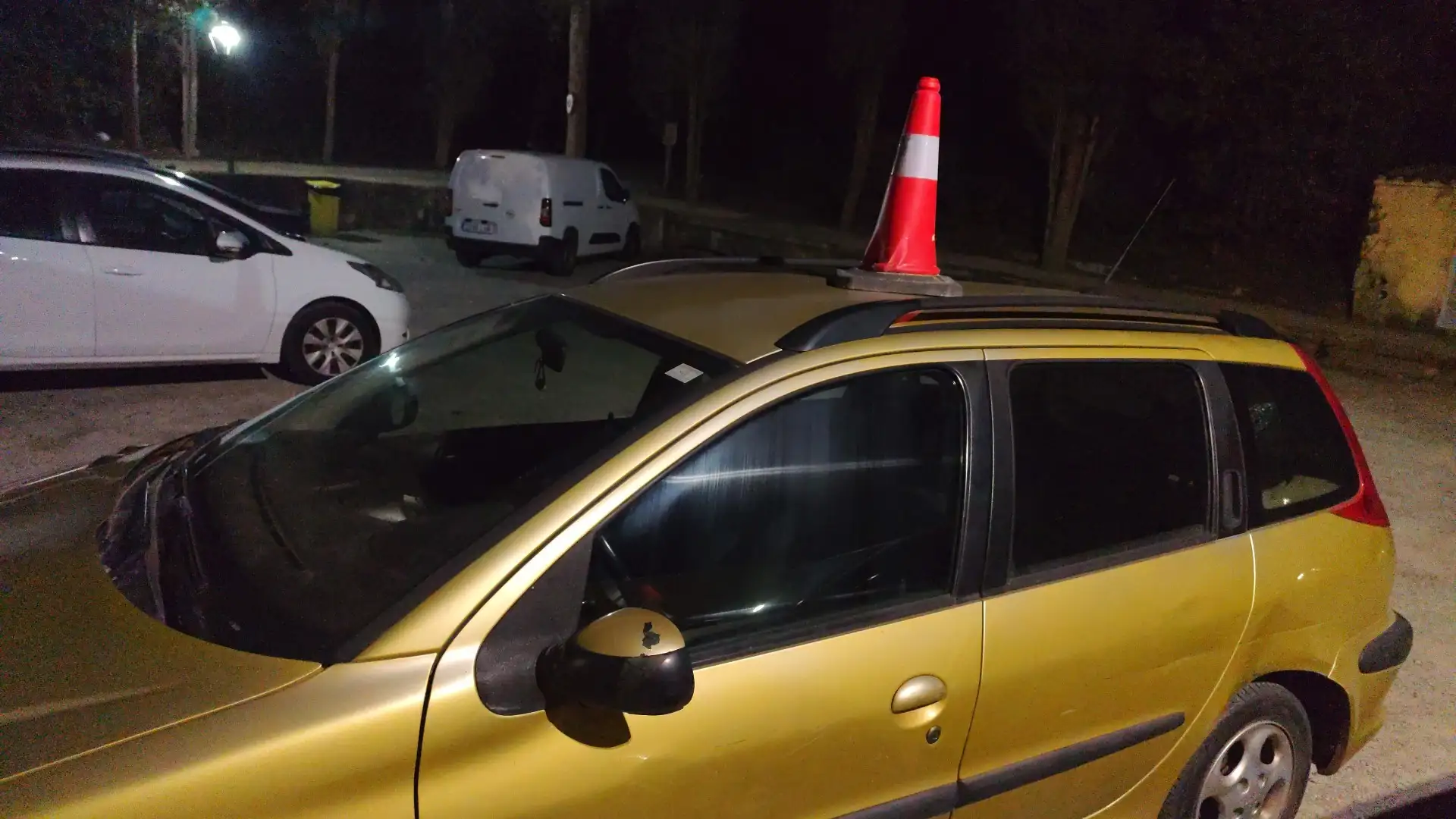 Peugeot 206 SW 1.6 XS 110 - 1