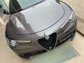 Alfa Romeo Stelvio 2.2 Turbodiesel 210CV AT8 Q4 B-TECH Szary - thumbnail 21