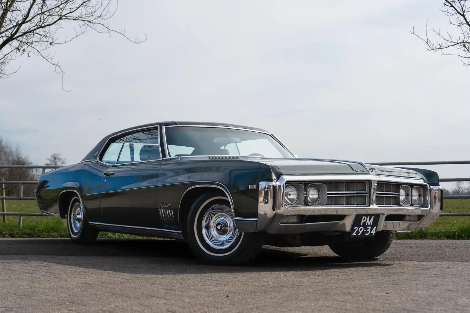 Buick Sonstige Wildcat Donkergroen - 1