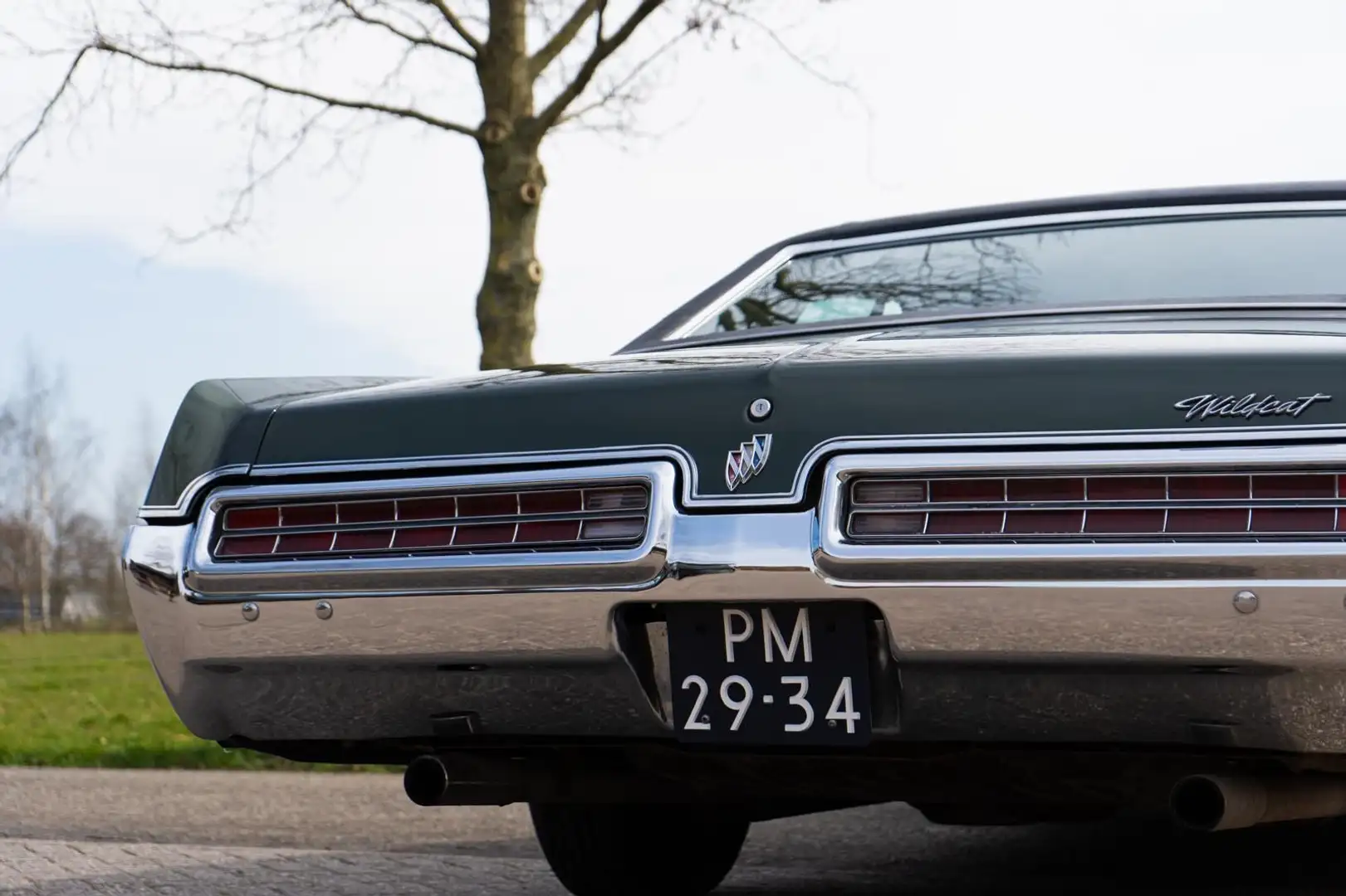 Buick Sonstige Wildcat Donkergroen - 2