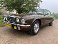 Jaguar XJ6 serie 2 4.2 Automaat Brązowy - thumbnail 5