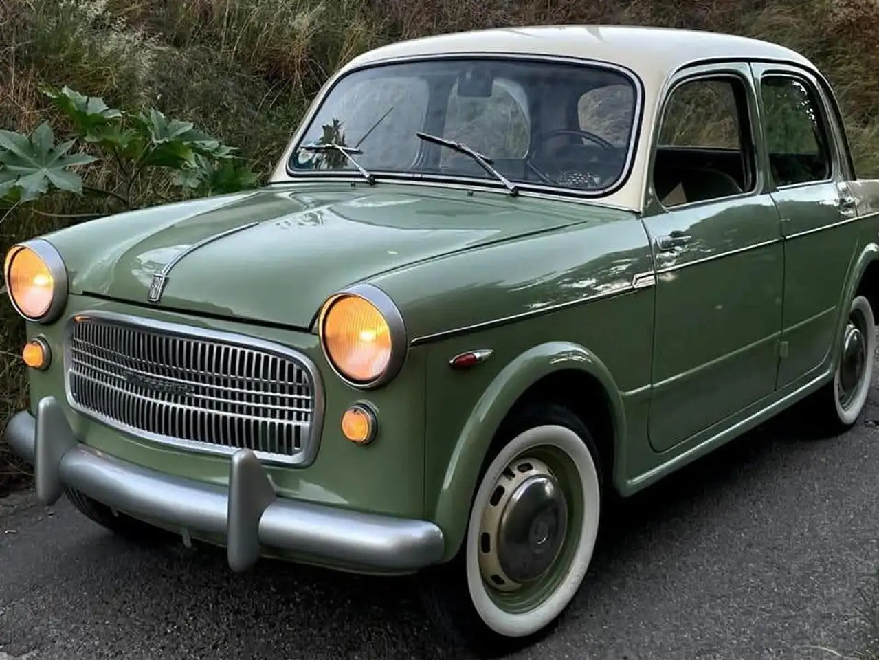 Fiat 1100 103 D, foto 3
