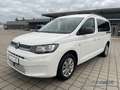 Volkswagen Caddy Maxi 1.5 TSI DSG Life *Rollstuhlumbau* Weiß - thumbnail 2