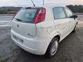 Fiat Punto Pequeño Manual de 5 Puertas Weiß - thumbnail 3
