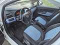 Fiat Punto Pequeño Manual de 5 Puertas Weiß - thumbnail 5