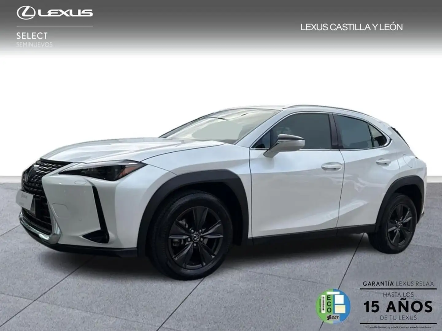 Lexus UX 300h + 2WD Biały - 1