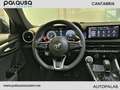 Alfa Romeo Tonale 1.5 MHEV GASOLINA 130 CV  FWD Speciale Azul - thumbnail 15