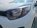 Kia Picanto Titan Klima Sitz+Lenkradheitzung Weiß - thumbnail 7