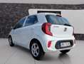 Kia Picanto Titan Klima Sitz+Lenkradheitzung Weiß - thumbnail 5