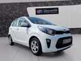 Kia Picanto Titan Klima Sitz+Lenkradheitzung Blanc - thumbnail 2