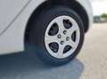 Kia Picanto Titan Klima Sitz+Lenkradheitzung Weiß - thumbnail 8