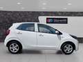 Kia Picanto Titan Klima Sitz+Lenkradheitzung Blanc - thumbnail 3
