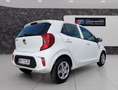 Kia Picanto Titan Klima Sitz+Lenkradheitzung Weiß - thumbnail 4