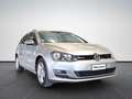 Volkswagen Golf Variant Variant 1.4 TGI BlueMotion Highline Executive Grigio - thumbnail 3