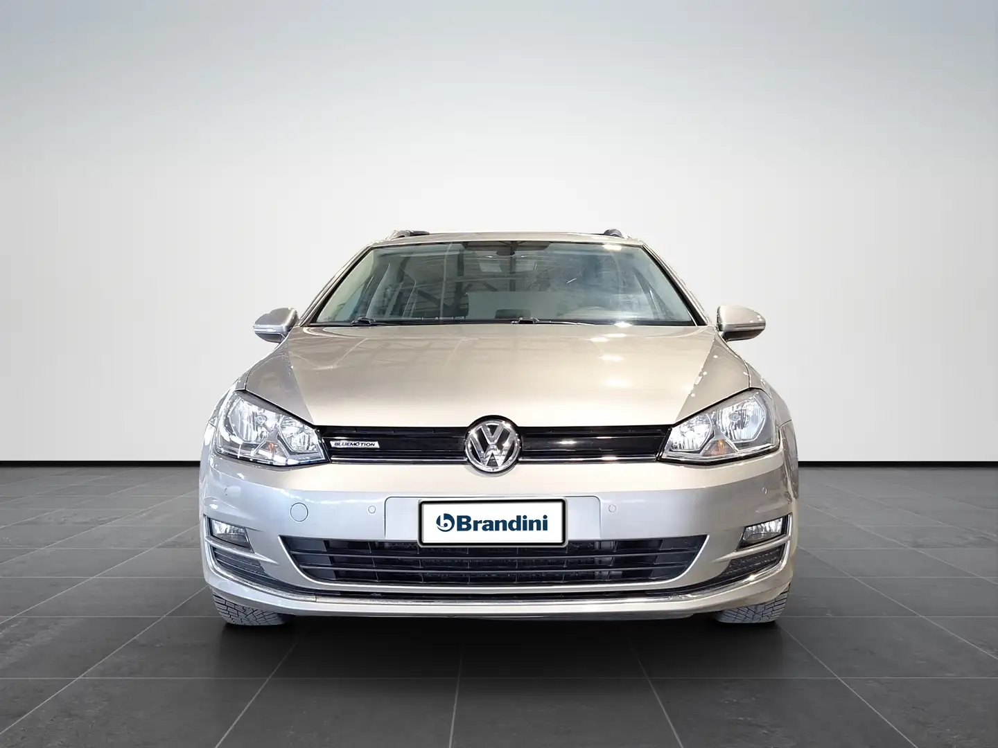 Volkswagen Golf Variant Variant 1.4 TGI BlueMotion Highline Executive Grigio - 2