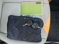smart forTwo Grandstyle Grün - thumbnail 22