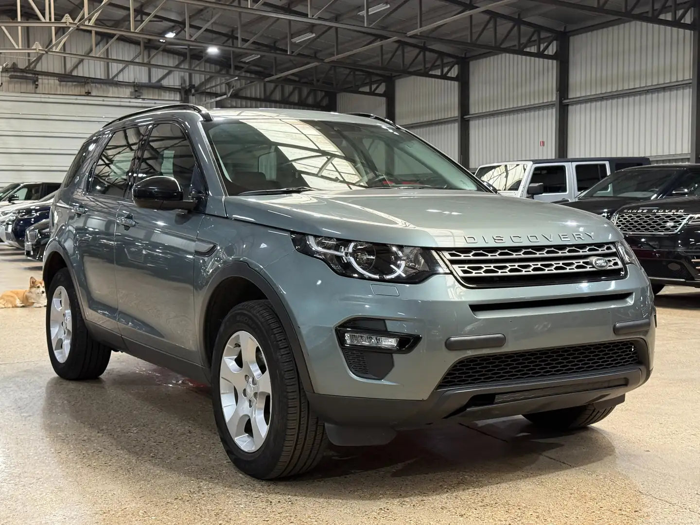 Land Rover Discovery Sport Discovery Sport AWD Vert - 1