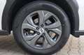 Subaru OUTBACK 2.5i EDITION TREND40 Lineartronic Weiß - thumbnail 6