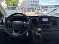 Ford Transit 350 Kombi L2/H2 Trend 9-SI AHK*KLIMA*PDC*TEMP Alb - thumbnail 8