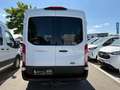 Ford Transit 350 Kombi L2/H2 Trend 9-SI AHK*KLIMA*PDC*TEMP Blanco - thumbnail 25