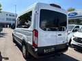 Ford Transit 350 Kombi L2/H2 Trend 9-SI AHK*KLIMA*PDC*TEMP Blanco - thumbnail 5