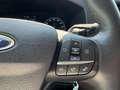 Ford Transit 350 Kombi L2/H2 Trend 9-SI AHK*KLIMA*PDC*TEMP Alb - thumbnail 17
