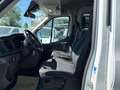 Ford Transit 350 Kombi L2/H2 Trend 9-SI AHK*KLIMA*PDC*TEMP Alb - thumbnail 20