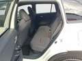 Toyota Corolla Cross Cross 1.8 HSD Active Drive Weiß - thumbnail 13