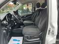 Mercedes-Benz V 250 CDI/BT/d EDITION 4MAT/ 7Sitze Weiß - thumbnail 21