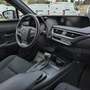 Lexus UX 250h Business 2WD Червоний - thumbnail 10