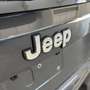 Jeep Renegade 1.0 T3 Limited Сірий - thumbnail 31
