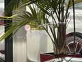 Mercedes-Benz SL 63 AMG 4MATIC+ Keramik+Burmester LiftsystemVorderachse+36 Grey - thumbnail 11