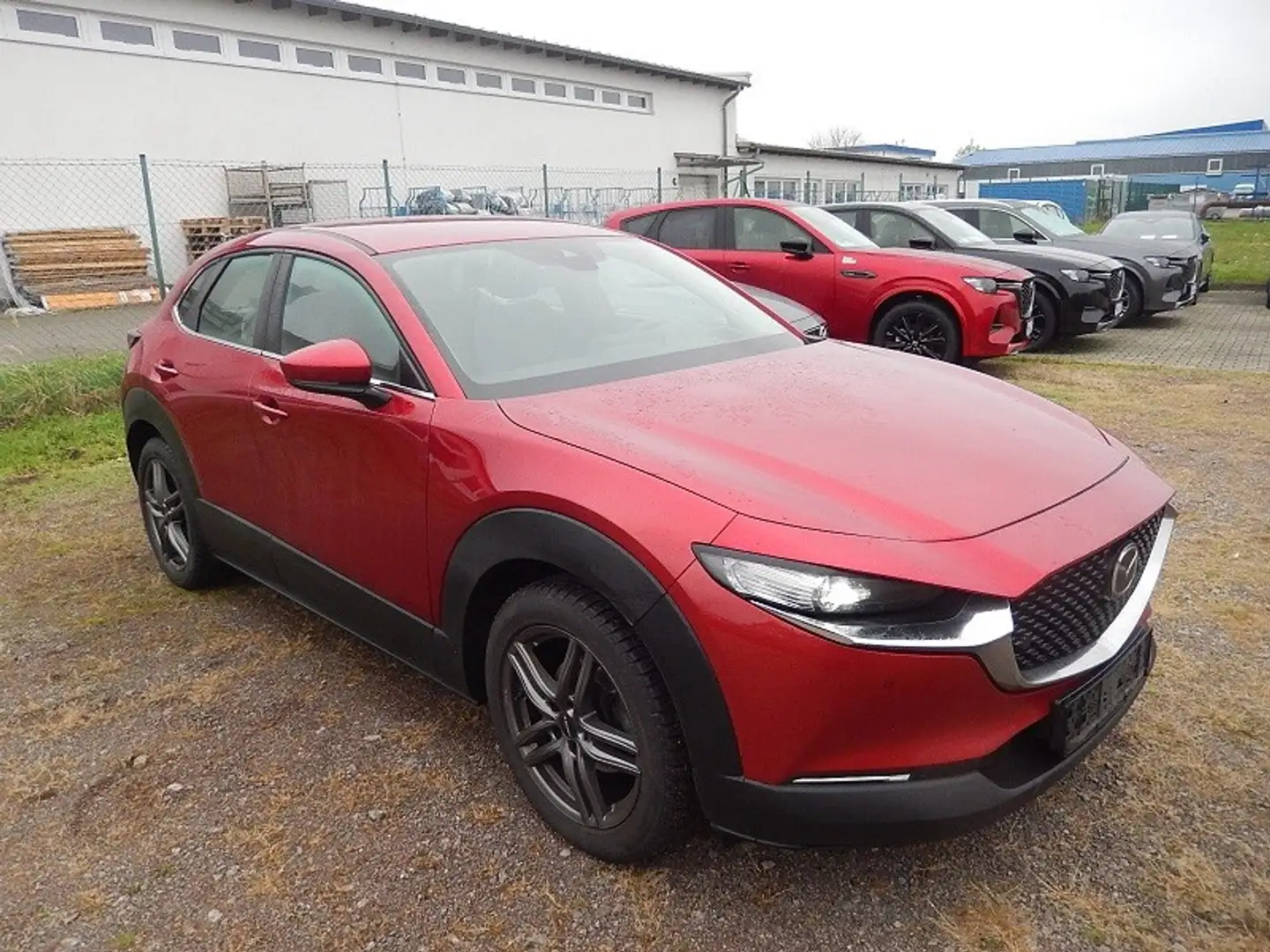 Mazda CX-30 2.0 SKYACTIV-G M Hy. 150 Selection 2WD Selection 2 Rot - 2