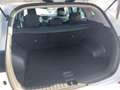Hyundai TUCSON Tucson Edition 25 2,0 CRDi 4WD Weiß - thumbnail 12