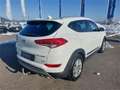 Hyundai TUCSON Tucson Edition 25 2,0 CRDi 4WD Weiß - thumbnail 7