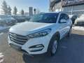 Hyundai TUCSON Tucson Edition 25 2,0 CRDi 4WD Weiß - thumbnail 3