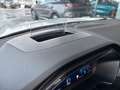 Ford Kuga ST-LINE 183PS Benzin/Hybrid 2,5 Duratec FHEV Al... Weiß - thumbnail 22