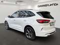 Ford Kuga ST-LINE 183PS Benzin/Hybrid 2,5 Duratec FHEV Al... Weiß - thumbnail 5