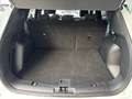 Ford Kuga ST-LINE 183PS Benzin/Hybrid 2,5 Duratec FHEV Al... Weiß - thumbnail 9